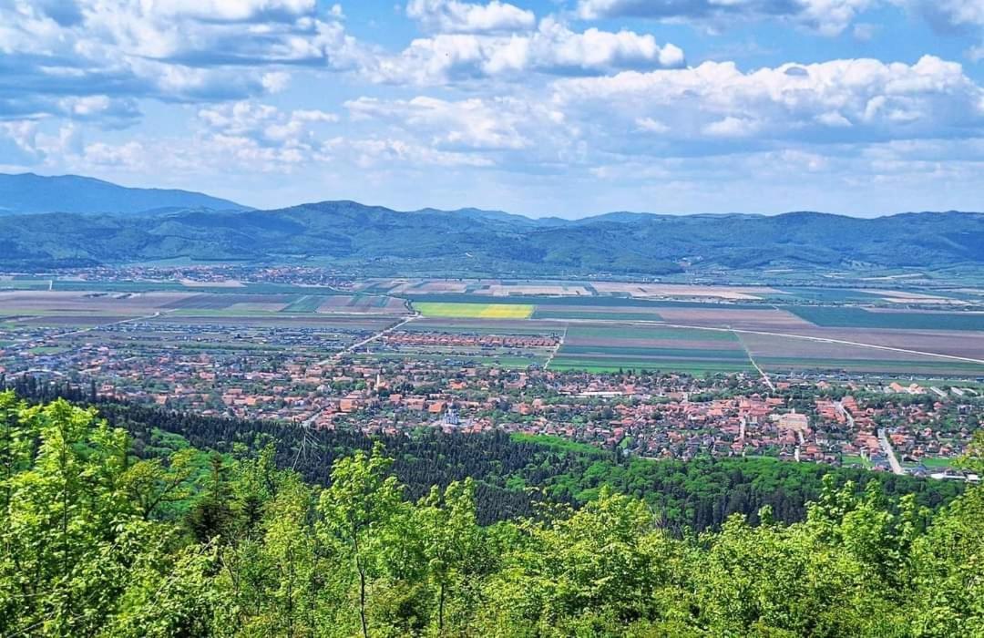 Neustadt Villa Cristian  Exteriör bild